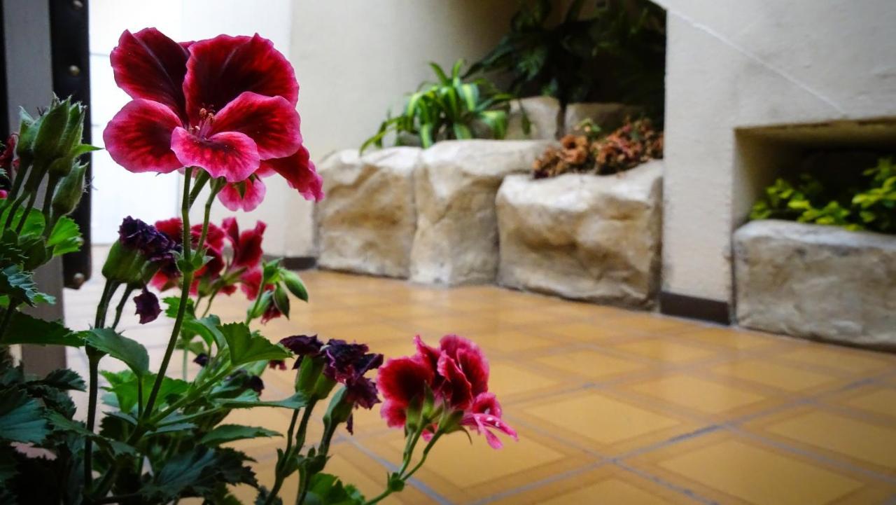 Hotel Mariscal Inn & Suite Cuenca Exteriör bild